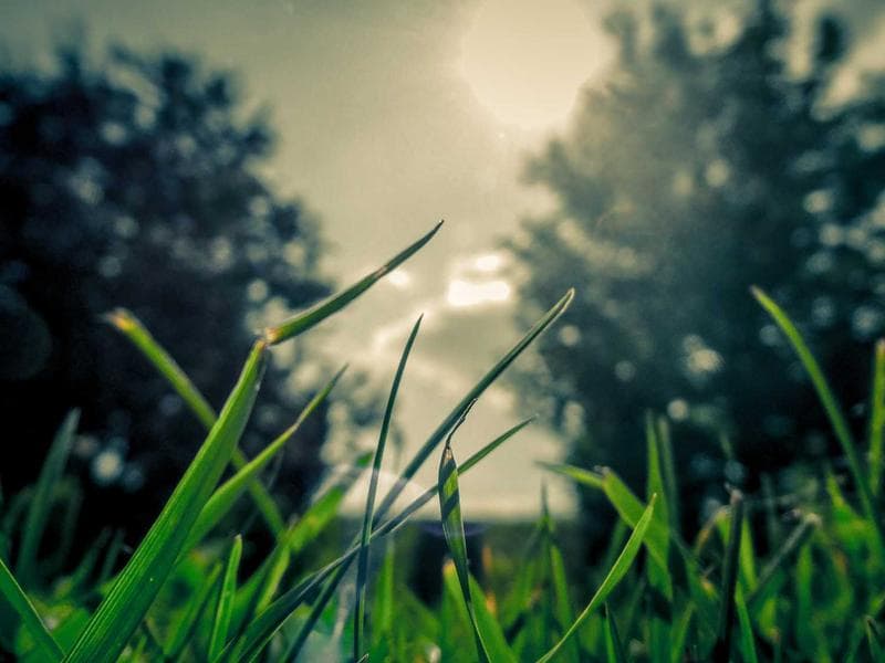 The Crystal Spires of Nirana